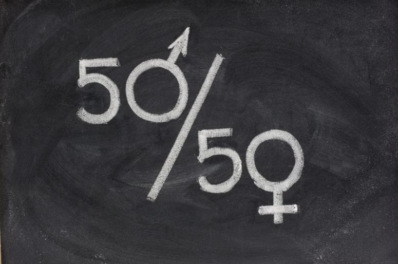 fifty percent - concept of gender equal opportunity or representation in political and public life sketched with white chalk on blackboard